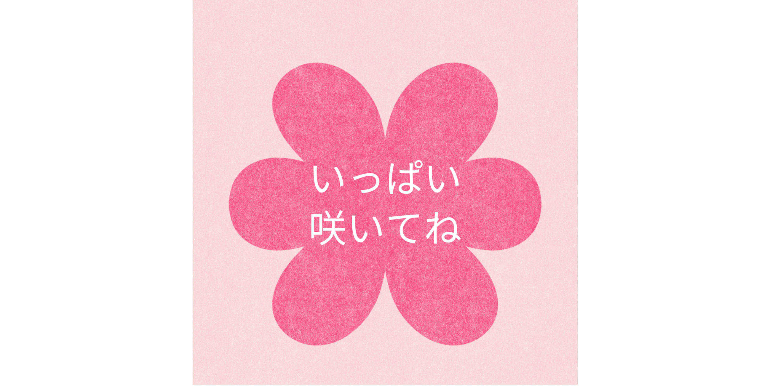 パンジーたくさん咲いてね