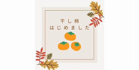 ✨干し柿✨